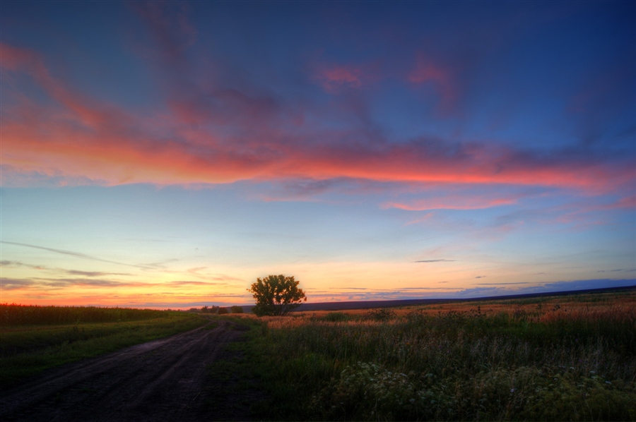 Фото жизнь