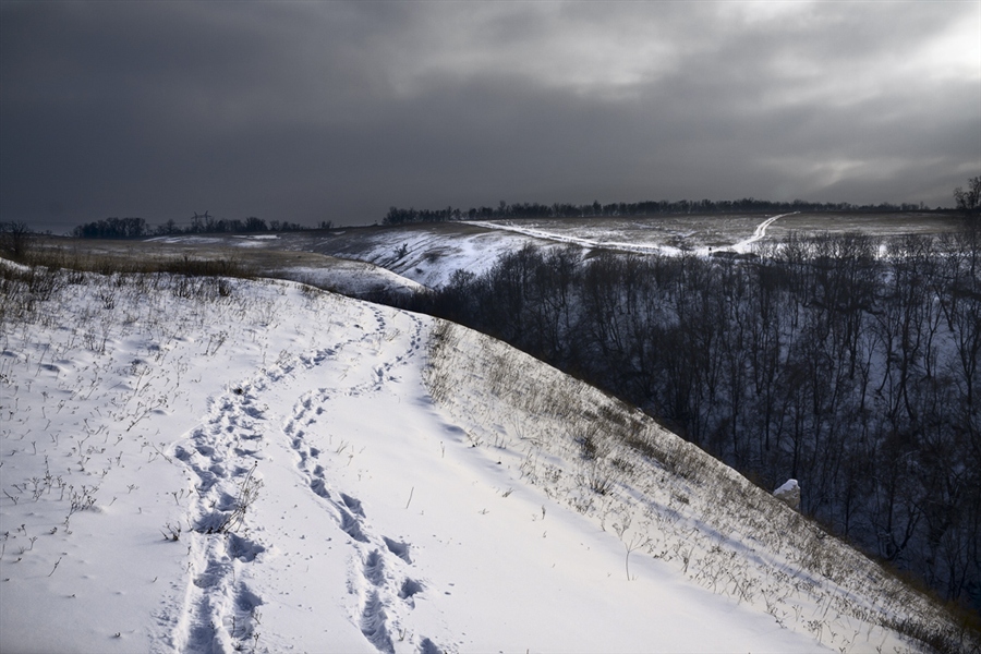 Фото жизнь