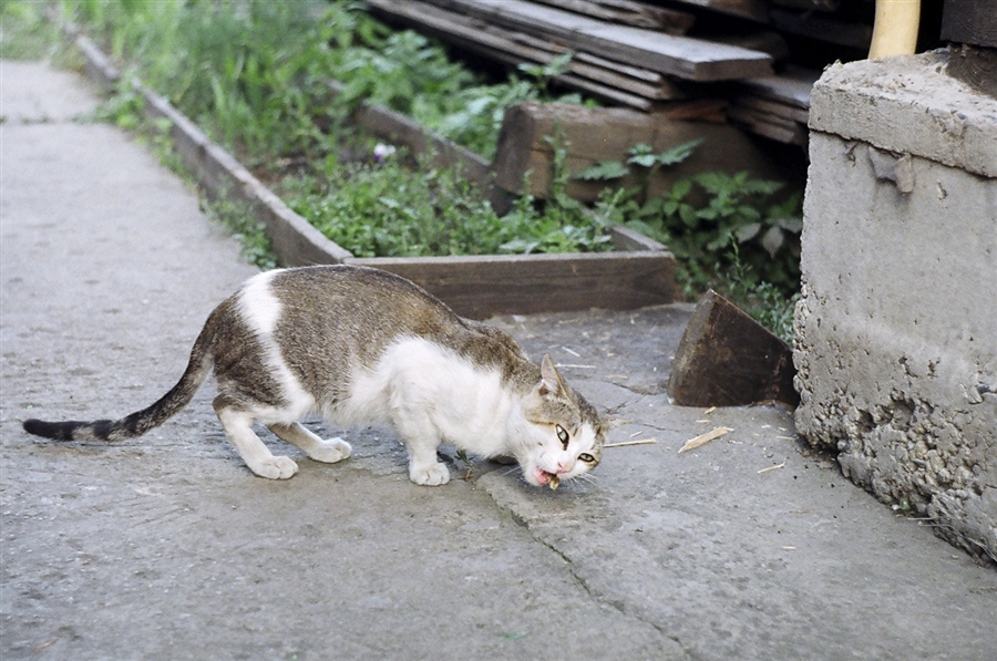 Фото жизнь