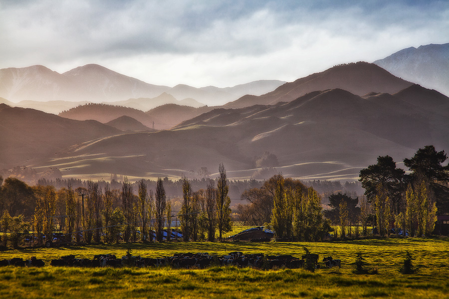 Фото жизнь (light) - PhotoSD - Новая Зеландия - Новозеландский пейзаж - 7
