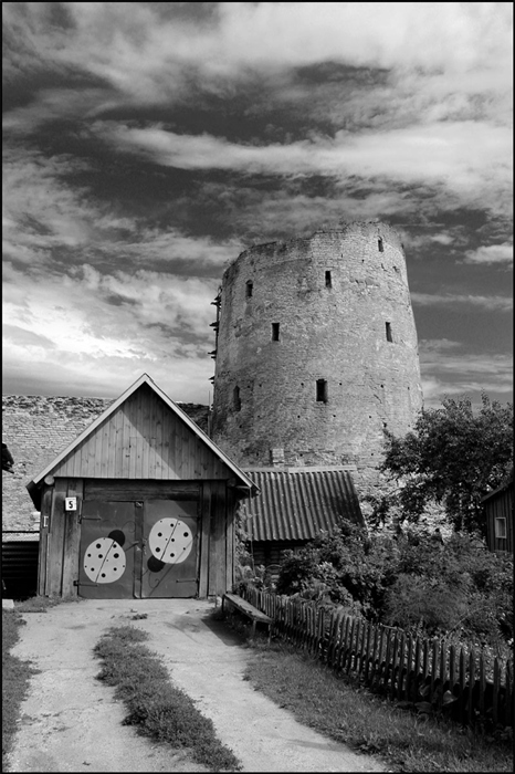 Фото жизнь