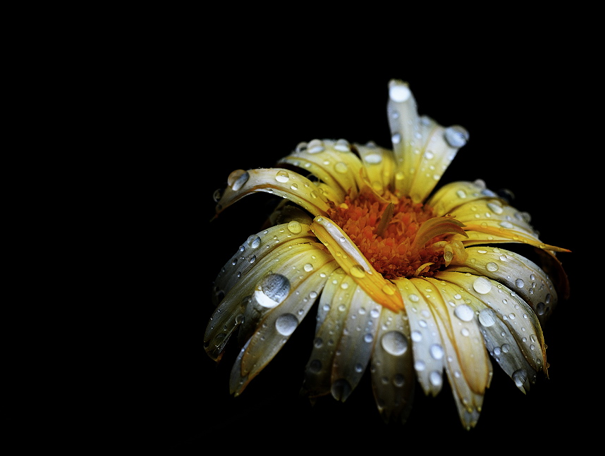 Фото жизнь (light) - SergeiP - корневой каталог - *