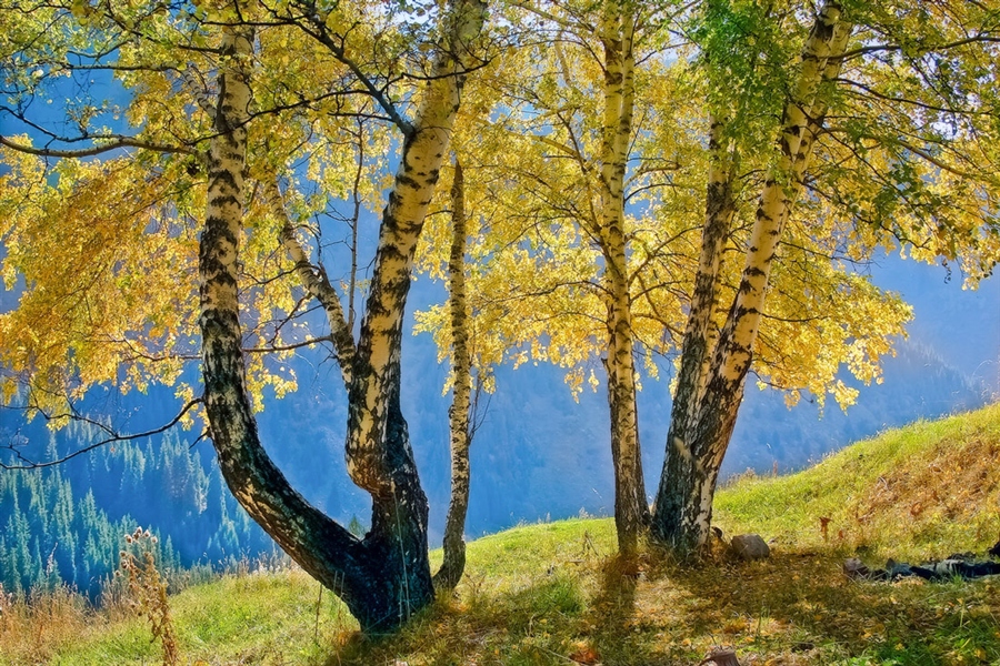 Фото жизнь