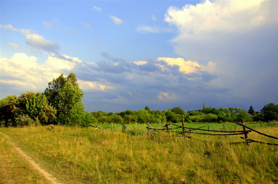 Фото жизнь