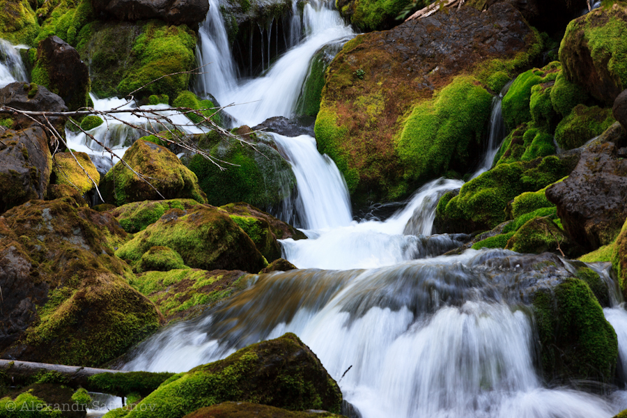 Фото жизнь (light) - Alexandr Safronov - Казахстан !!! - ***
