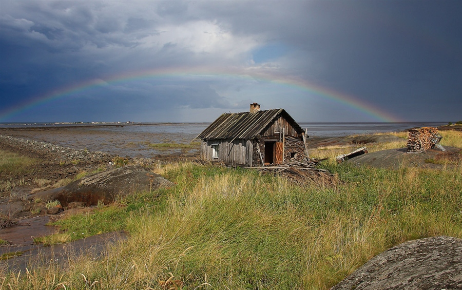 Фото жизнь