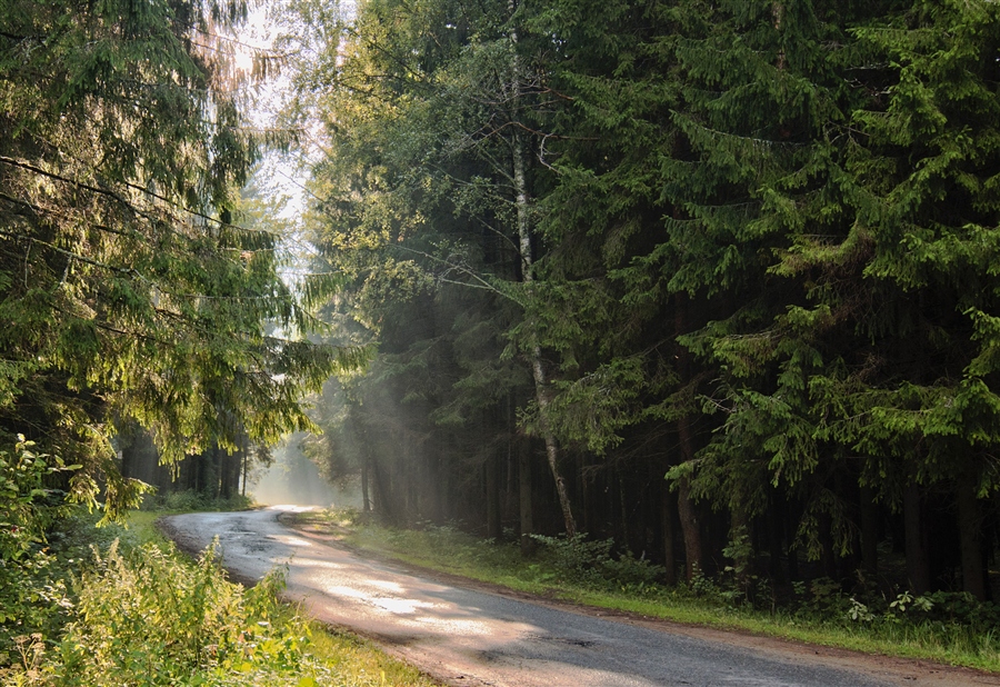 Фото жизнь