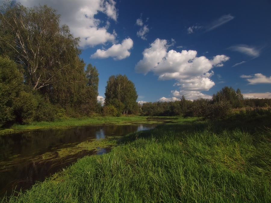 Фото жизнь