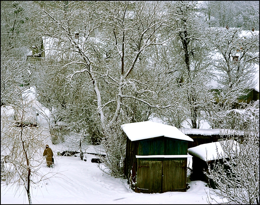 Фото жизнь