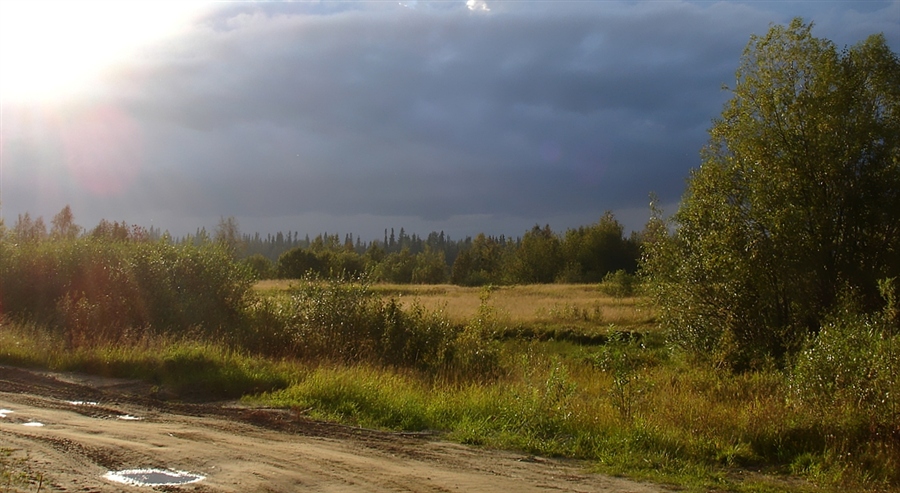 Фото жизнь