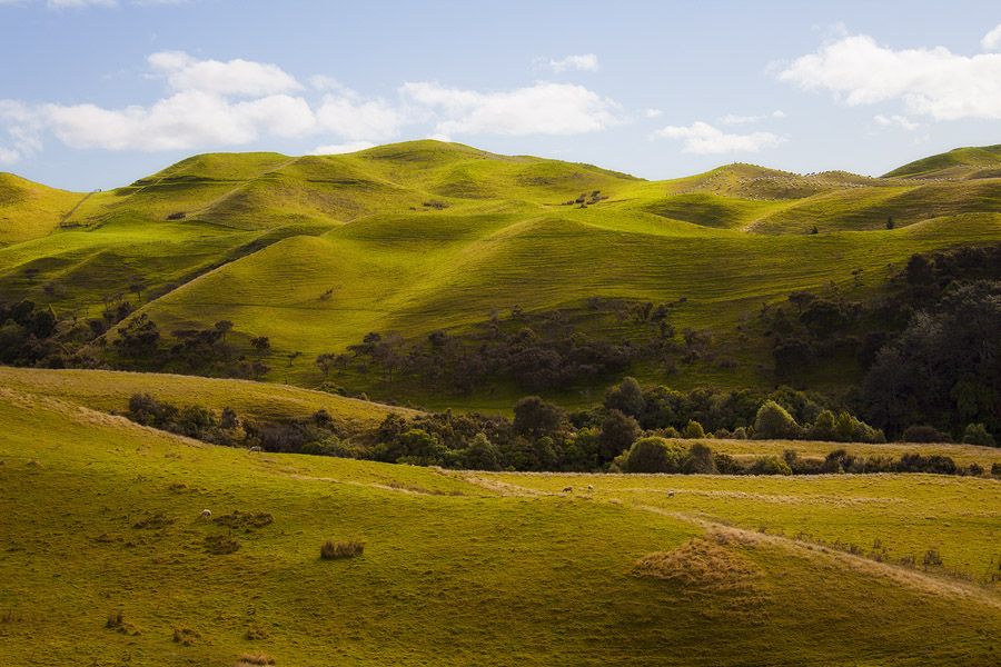 Фото жизнь (light) - PhotoSD - Новая Зеландия - Зелёные волны