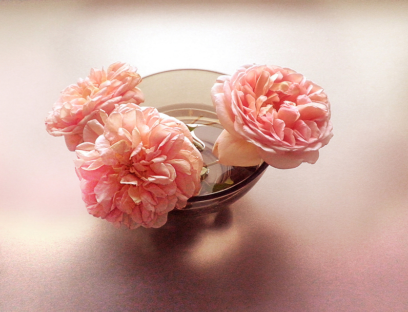 Фото жизнь (light) - D