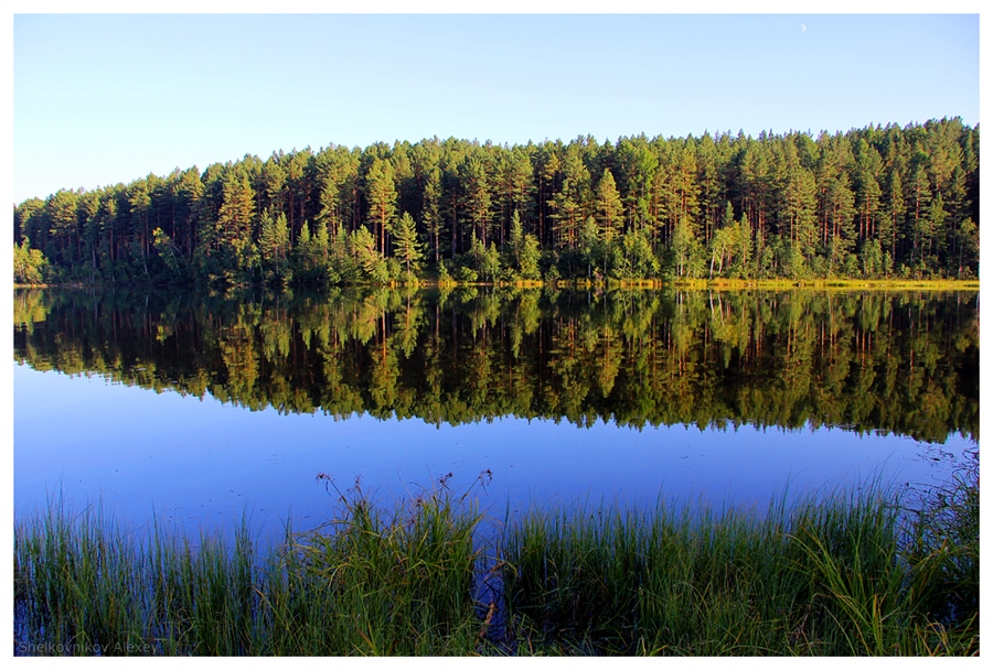 Фото жизнь