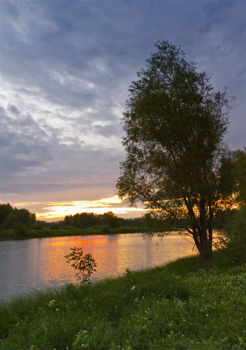 Фото жизнь