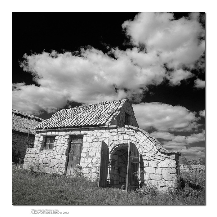 Фото жизнь