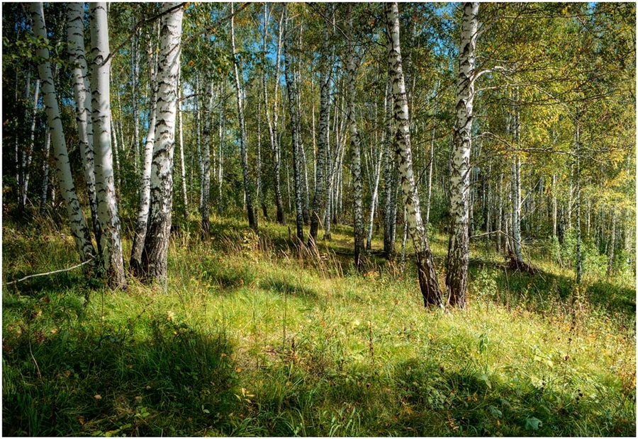 Фото жизнь
