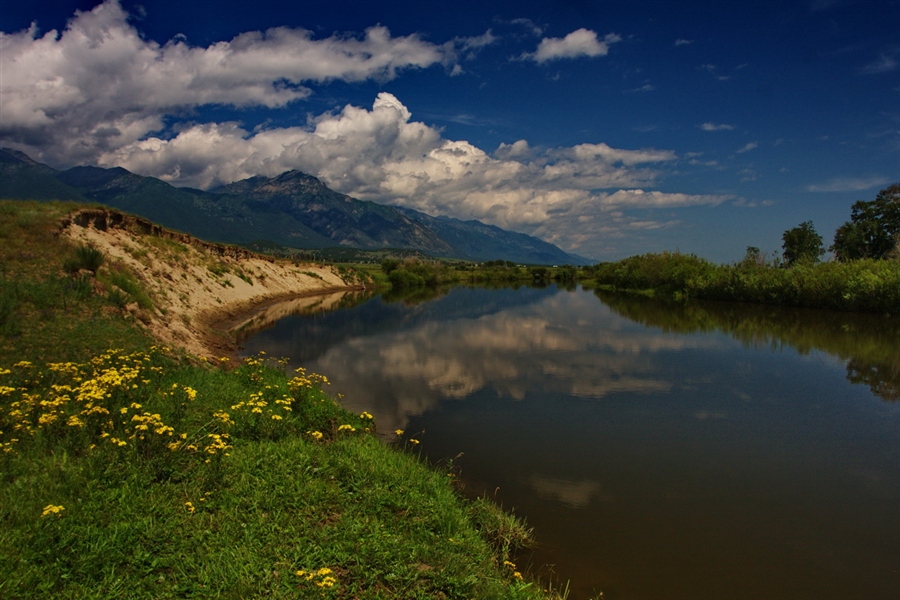 Фото жизнь