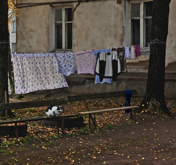 Фото жизнь