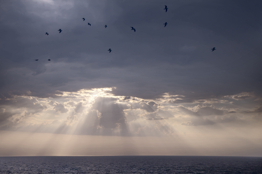 Фото жизнь (light) - Дмитрий Смирнов - корневой каталог - "Чайки стонут перед бурей..."