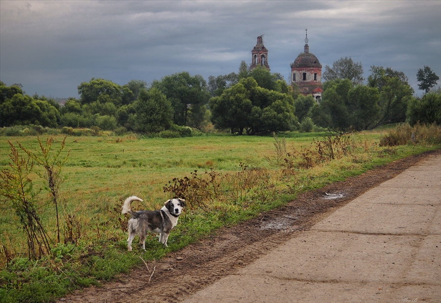 Фото жизнь
