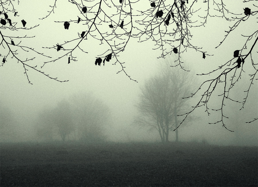Фото жизнь (light) - mystera - Faszination Nebel. - Спит природа окутанная туманом.
