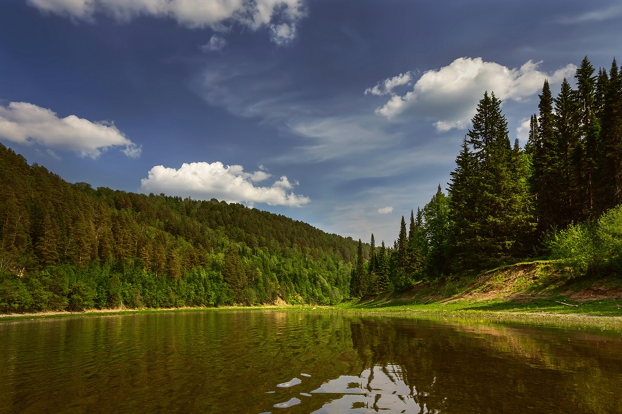 Фото жизнь
