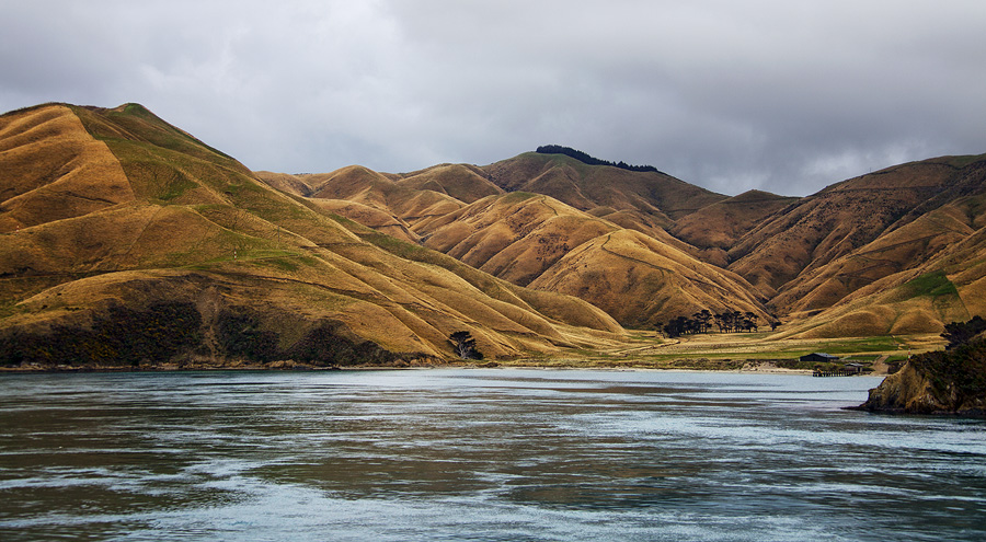 Фото жизнь (light) - PhotoSD - Новая Зеландия - Волнистый берег