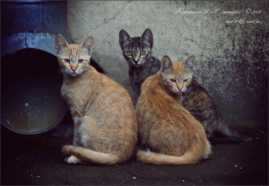 Фото жизнь