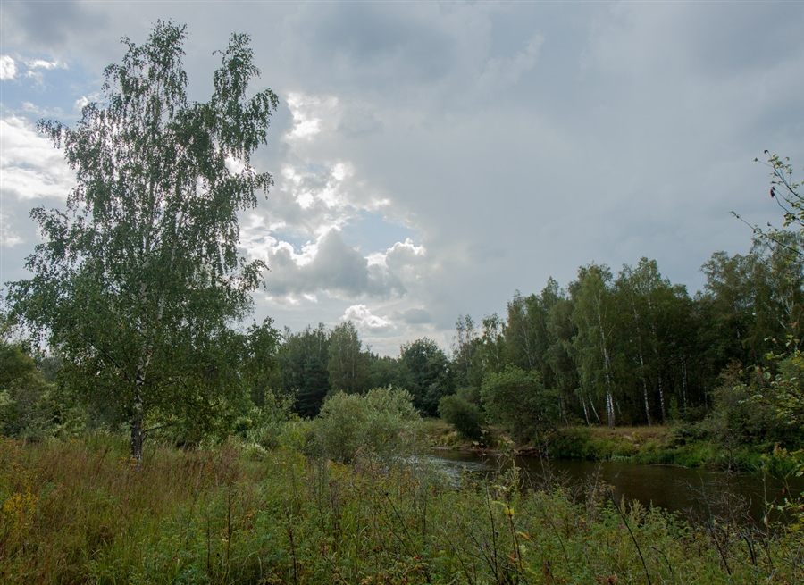 Фото жизнь