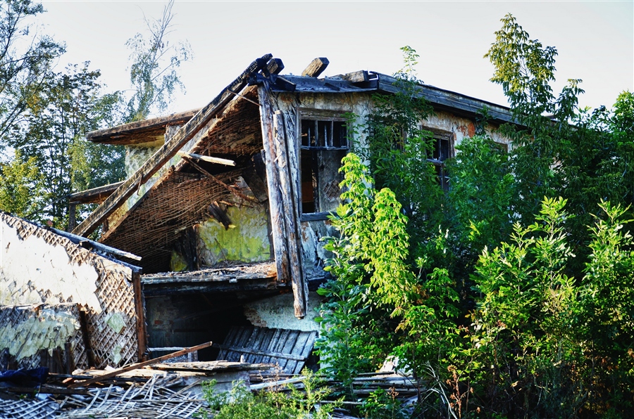 Фото жизнь