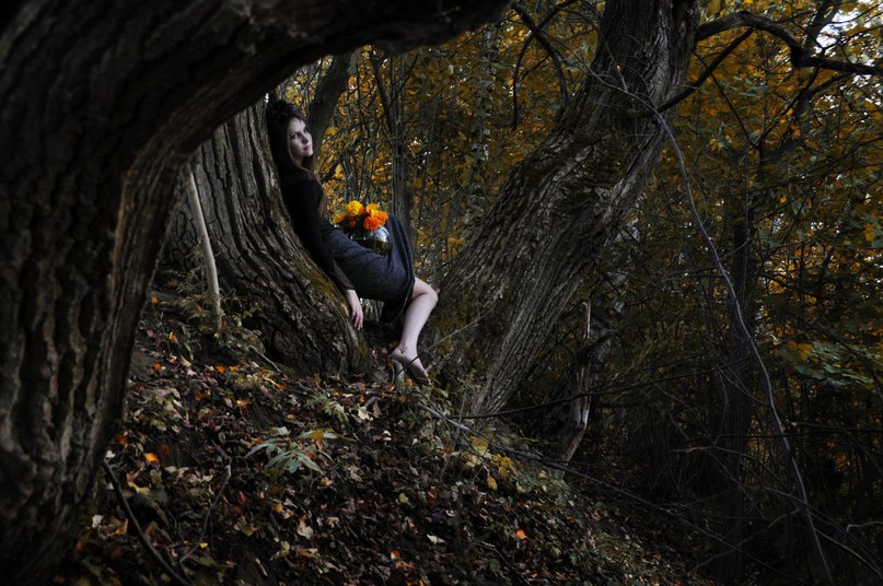 Фото жизнь (light) - Skerco - корневой каталог - Осень в лесу