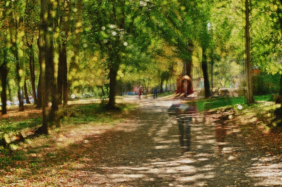 Фото жизнь