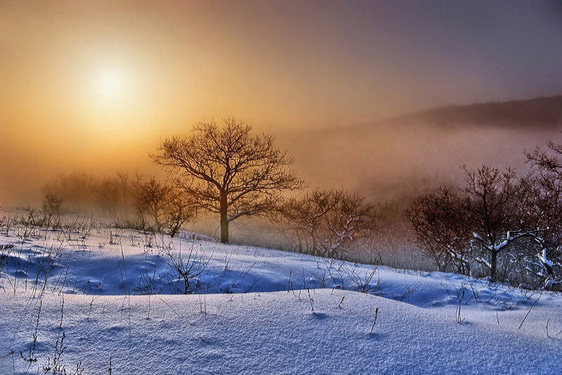 Фото жизнь (light) - thipidail - корневой каталог - Морозное утро