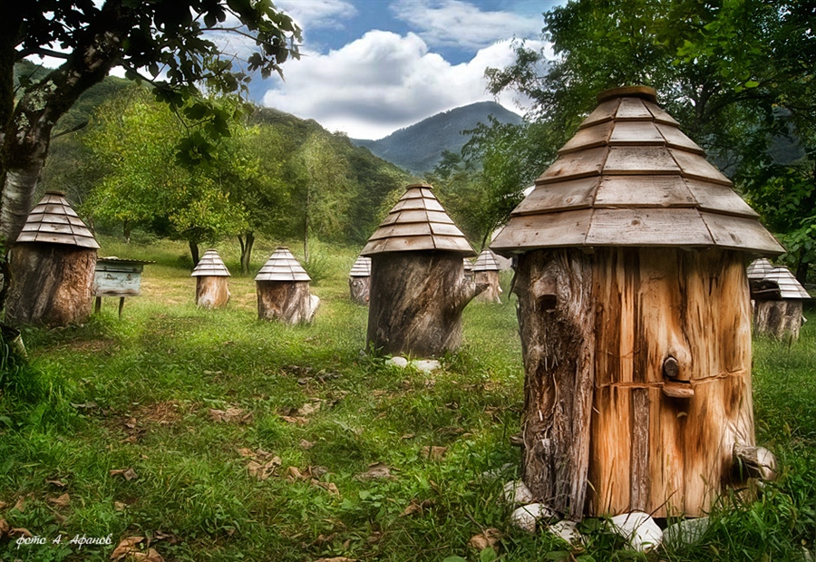 Фото жизнь