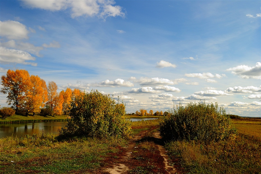 Фото жизнь