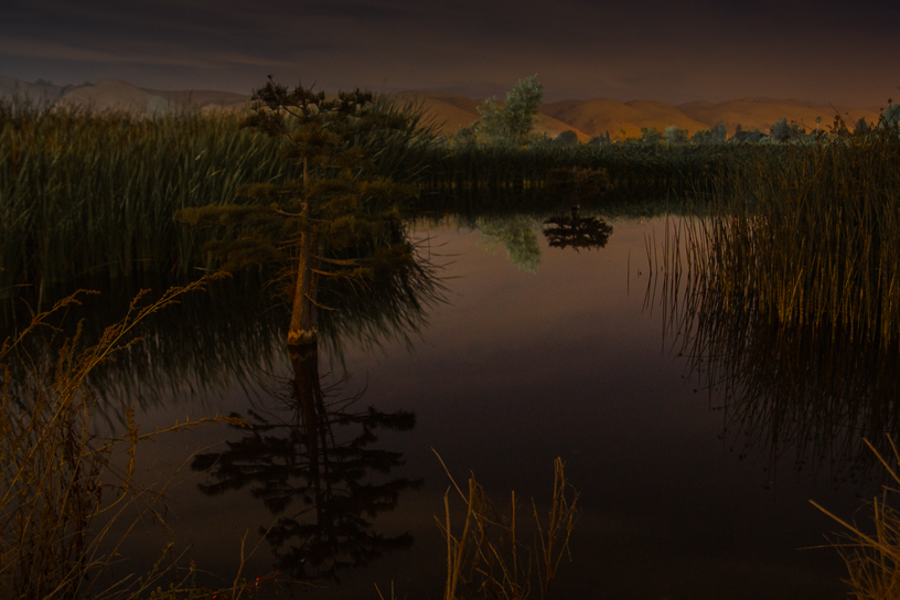 Фото жизнь (light) - anastasieva - корневой каталог - Ночь на озере Элизабет