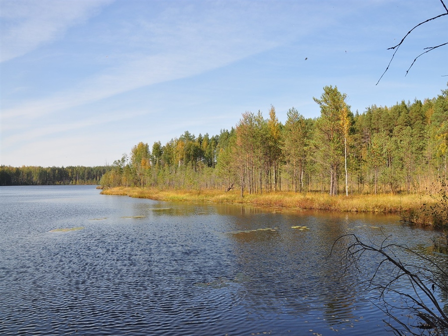 Фото жизнь