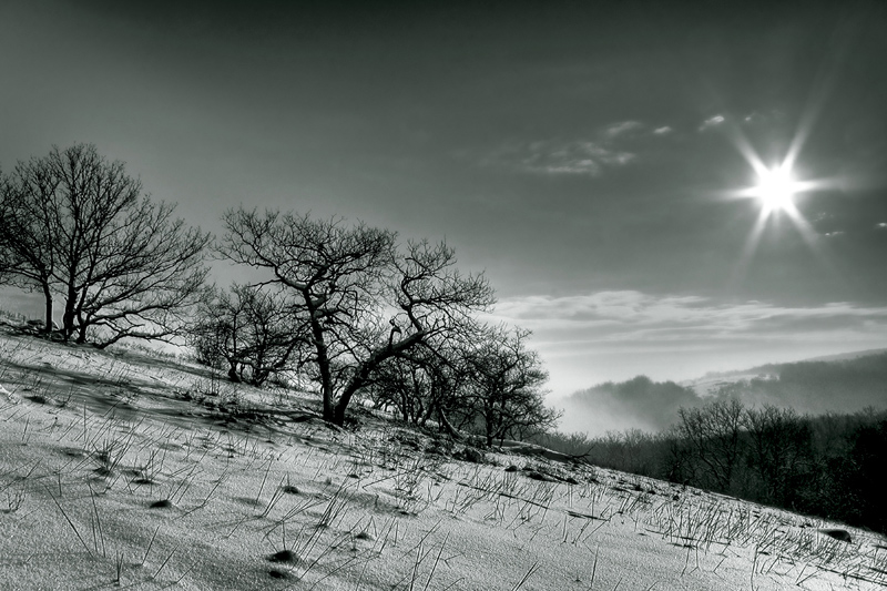 Фото жизнь (light) - thipidail - корневой каталог - Зимний пейзаж