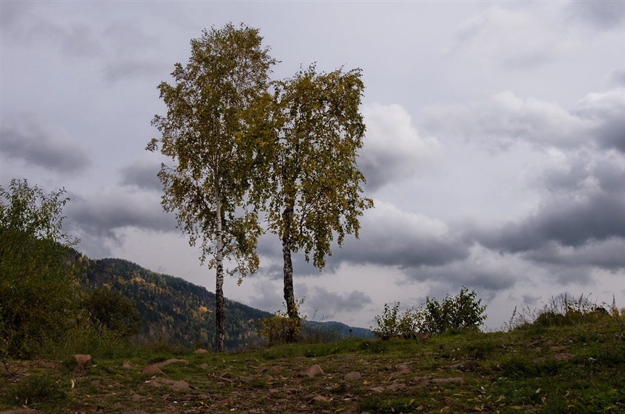 Фото жизнь