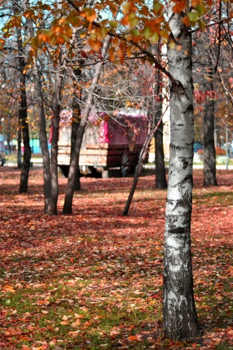 Фото жизнь