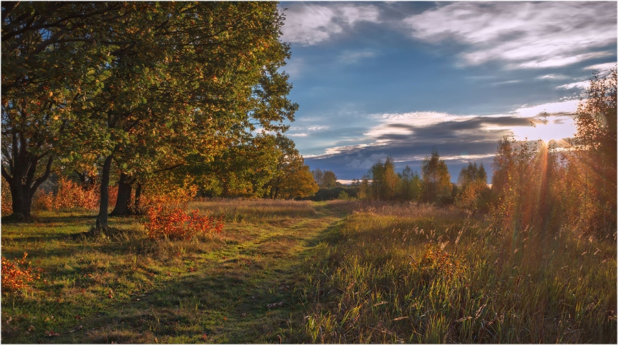 Фото жизнь