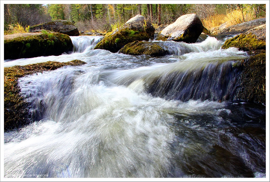 Фото жизнь