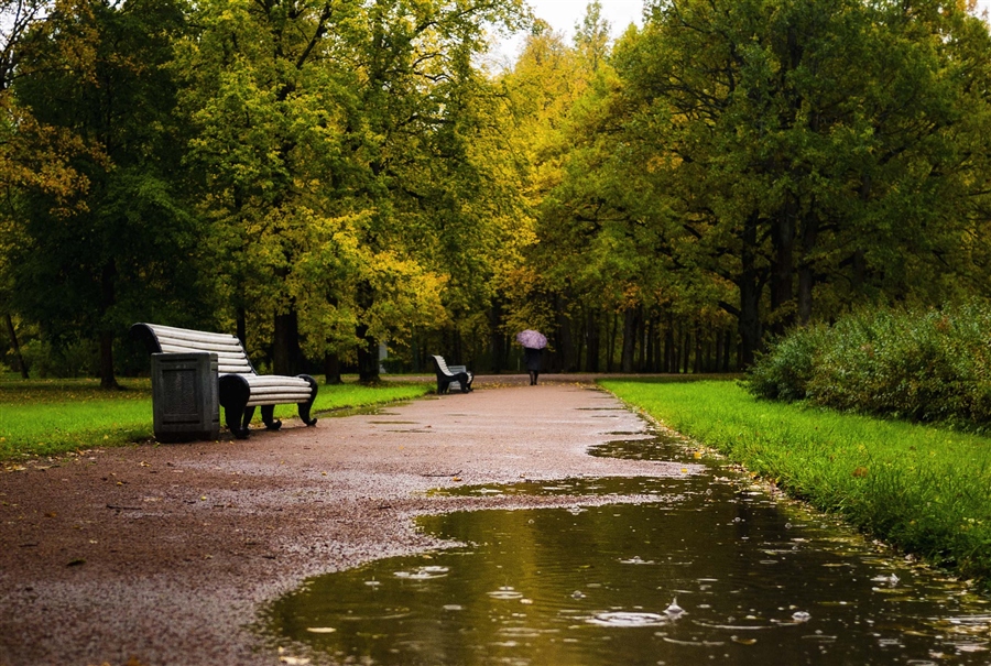 Фото жизнь