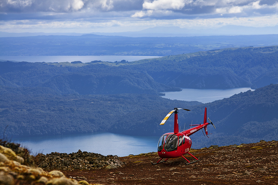 Фото жизнь - PhotoSD - Новая Зеландия - Наша стрекоза