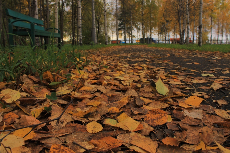 Осенний парк