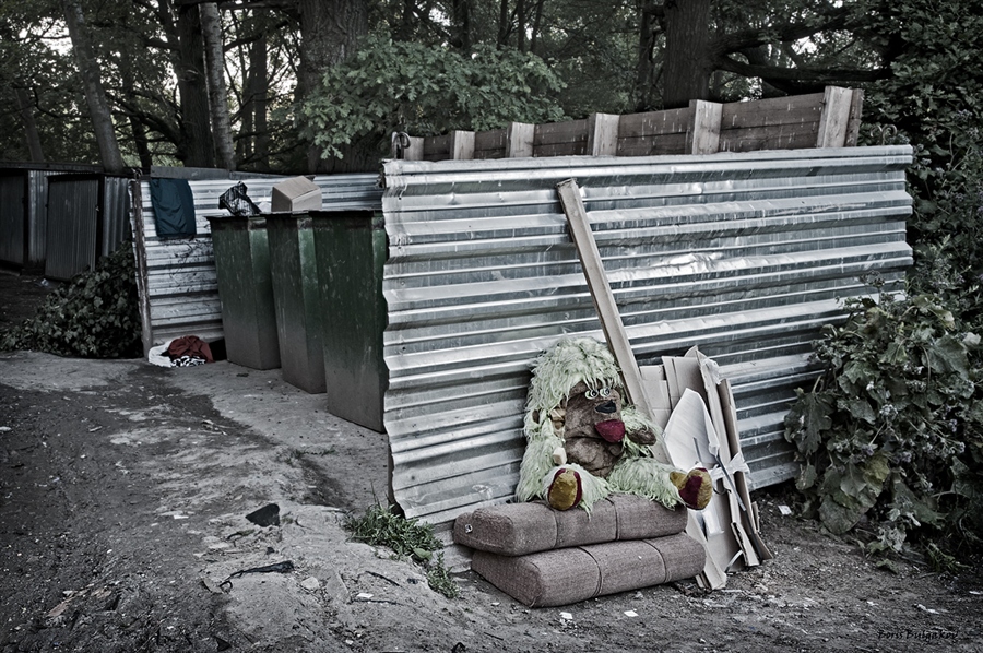 Фото жизнь