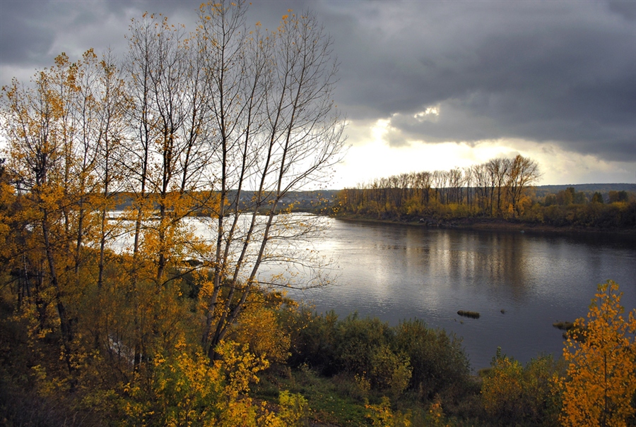 Фото жизнь