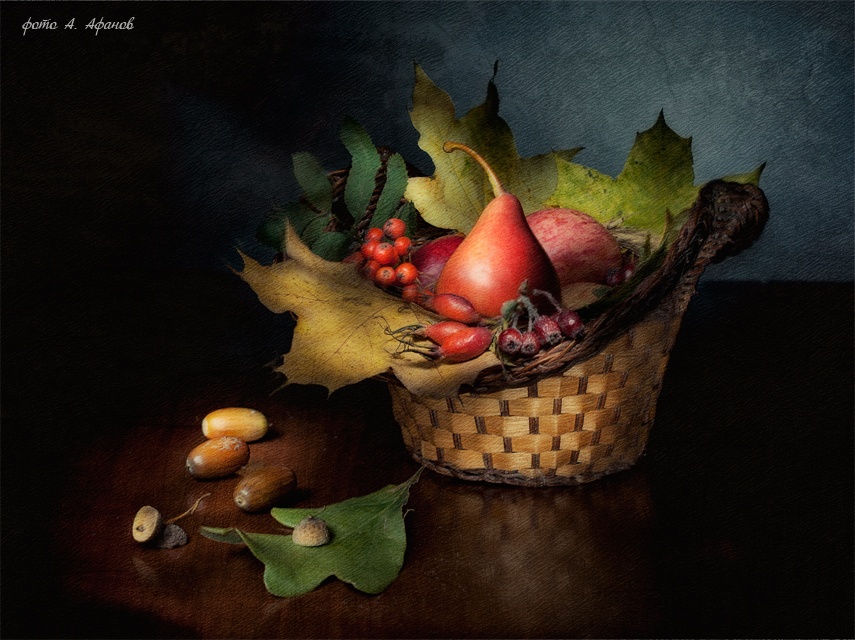 Фото жизнь (light) - Андрей Афанов - корневой каталог - Краски осени