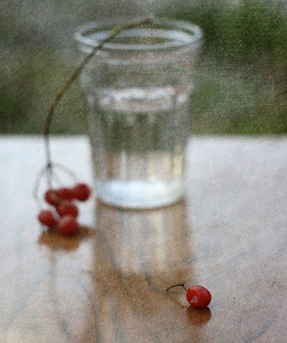 Фото жизнь (light) - Lilliya - корневой каталог - Осыпается ягода красная...вот и кончилось лето прекрасное...