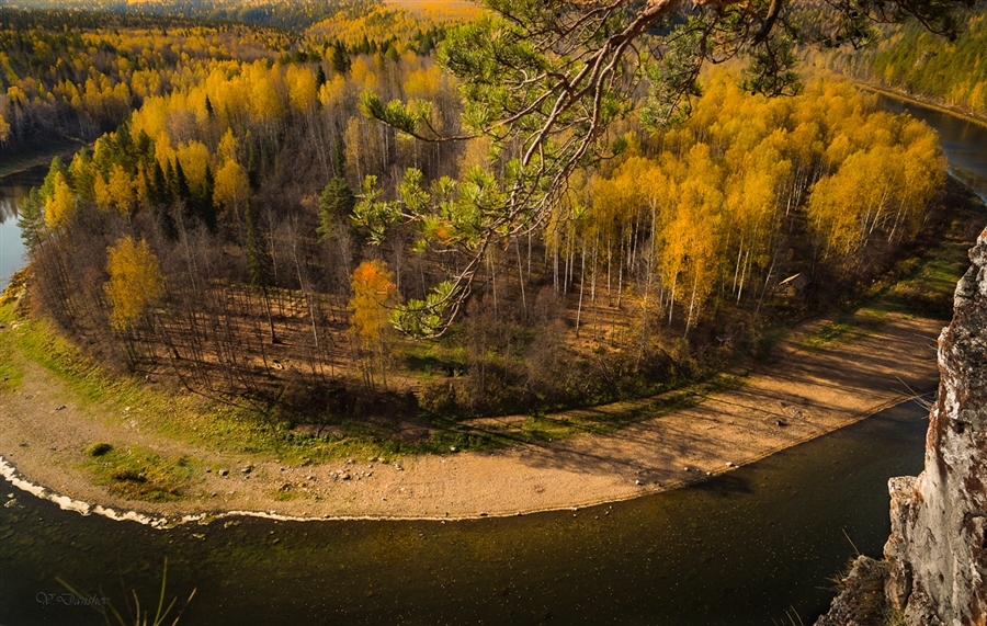 Фото жизнь